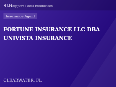 FORTUNE INSURANCE LLC DBA UNIVISTA INSURANCE — Insurance Agent in CLEARWATER, FL