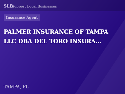 PALMER INSURANCE OF TAMPA LLC DBA DEL TORO INSURANCE — Insurance Agent in TAMPA, FL