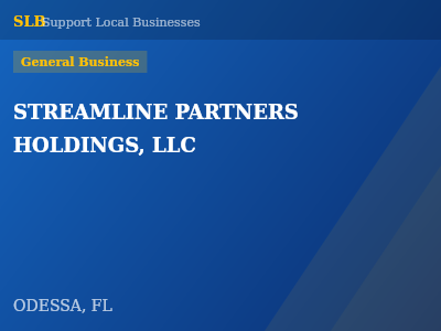 STREAMLINE PARTNERS HOLDINGS, LLC — General Business in ODESSA, FL