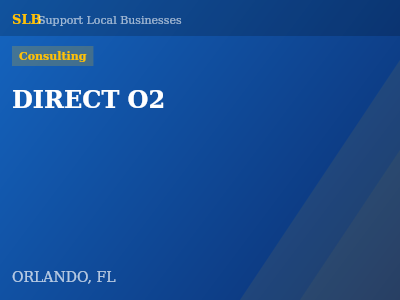 DIRECT O2 — Consulting in ORLANDO, FL