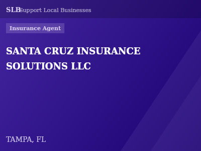 SANTA CRUZ INSURANCE SOLUTIONS LLC — Insurance Agent in TAMPA, FL