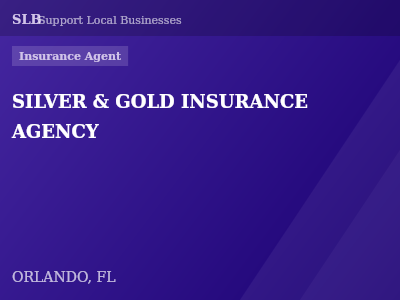 SILVER & GOLD INSURANCE AGENCY — Insurance Agent in ORLANDO, FL