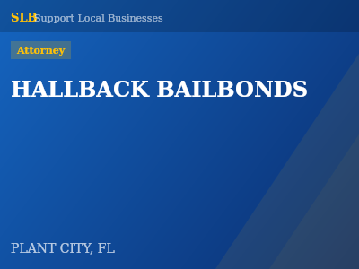 HALLBACK BAILBONDS — Attorney in PLANT CITY, FL