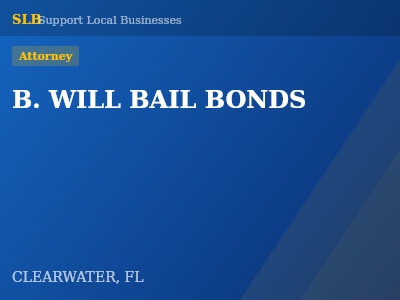 B. WILL BAIL BONDS — Attorney in CLEARWATER, FL