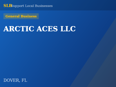 ARCTIC ACES LLC — General Business in DOVER, FL