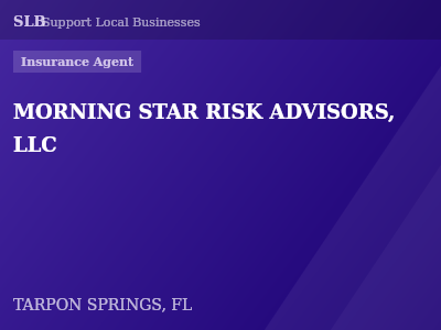 MORNING STAR RISK ADVISORS, LLC — Insurance Agent in TARPON SPRINGS, FL
