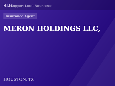 MERON HOLDINGS LLC, — Insurance Agent in HOUSTON, TX