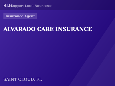 ALVARADO CARE INSURANCE — Insurance Agent in SAINT CLOUD, FL