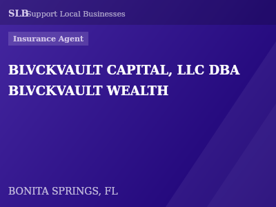 BLVCKVAULT CAPITAL, LLC DBA BLVCKVAULT WEALTH — Insurance Agent in BONITA SPRINGS, FL