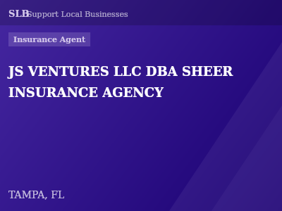 JS VENTURES LLC DBA SHEER INSURANCE AGENCY — Insurance Agent in TAMPA, FL