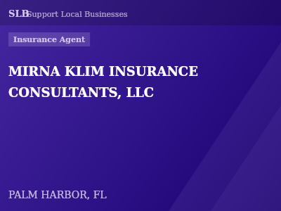 MIRNA KLIM INSURANCE CONSULTANTS, LLC — Insurance Agent in PALM HARBOR, FL