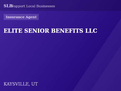 ELITE SENIOR BENEFITS LLC — Insurance Agent in KAYSVILLE, UT