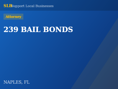239 BAIL BONDS — Attorney in NAPLES, FL