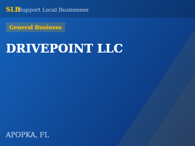 DRIVEPOINT LLC — General Business in APOPKA, FL