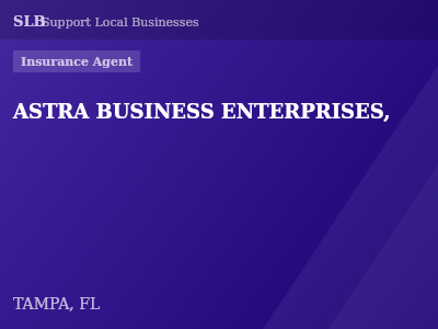 ASTRA BUSINESS ENTERPRISES, — Insurance Agent in TAMPA, FL