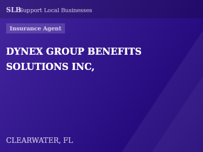 DYNEX GROUP BENEFITS SOLUTIONS INC, — Insurance Agent in CLEARWATER, FL