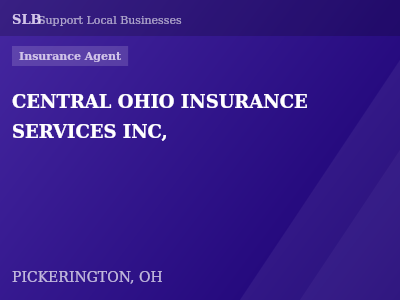 CENTRAL OHIO INSURANCE SERVICES INC, — Insurance Agent in PICKERINGTON, OH