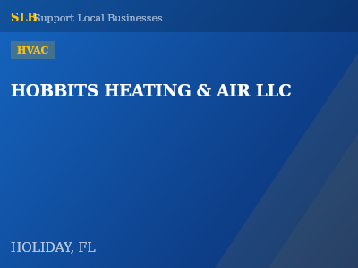 HOBBITS HEATING & AIR LLC — HVAC in HOLIDAY, FL