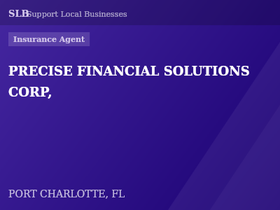 PRECISE FINANCIAL SOLUTIONS CORP, — Insurance Agent in PORT CHARLOTTE, FL