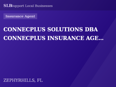 CONNECPLUS SOLUTIONS DBA CONNECPLUS INSURANCE AGENCY — Insurance Agent in ZEPHYRHILLS, FL