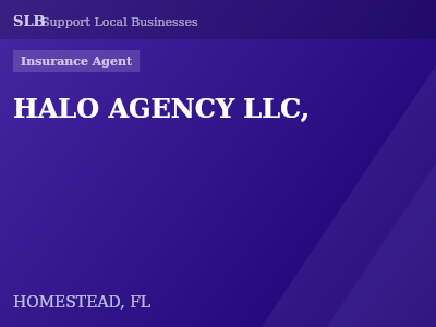HALO AGENCY LLC, — Insurance Agent in HOMESTEAD, FL