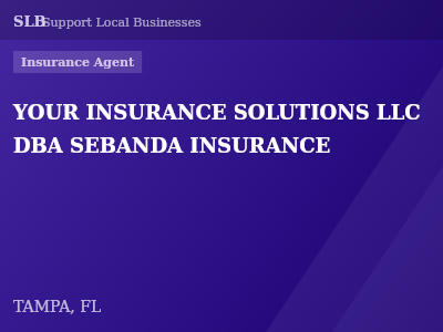 YOUR INSURANCE SOLUTIONS LLC DBA SEBANDA INSURANCE — Insurance Agent in TAMPA, FL