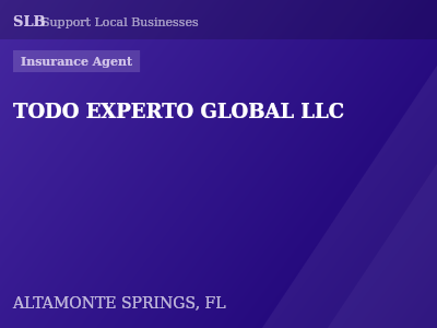 TODO EXPERTO GLOBAL LLC — Insurance Agent in ALTAMONTE SPRINGS, FL