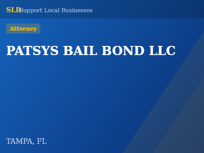 PATSYS BAIL BOND LLC — Attorney in TAMPA, FL