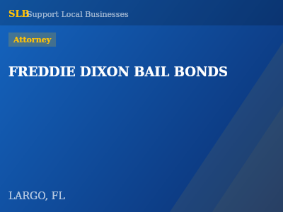 FREDDIE DIXON BAIL BONDS — Attorney in LARGO, FL