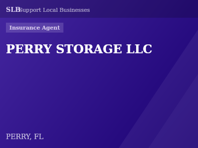 PERRY STORAGE LLC — Insurance Agent in PERRY, FL