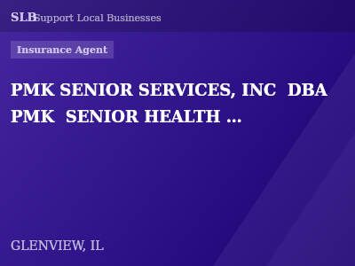 PMK SENIOR SERVICES, INC  DBA PMK  SENIOR HEALTH INSURANCE — Insurance Agent in GLENVIEW, IL