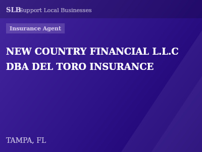 NEW COUNTRY FINANCIAL L.L.C DBA DEL TORO INSURANCE — Insurance Agent in TAMPA, FL