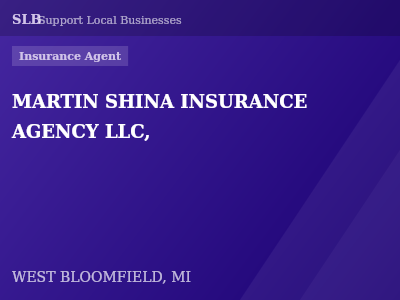 MARTIN SHINA INSURANCE AGENCY LLC, — Insurance Agent in WEST BLOOMFIELD, MI