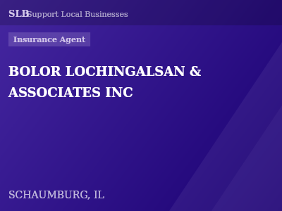 BOLOR LOCHINGALSAN & ASSOCIATES INC — Insurance Agent in SCHAUMBURG, IL