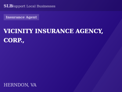 VICINITY INSURANCE AGENCY, CORP., — Insurance Agent in HERNDON, VA