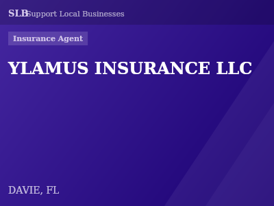 YLAMUS INSURANCE LLC — Insurance Agent in DAVIE, FL