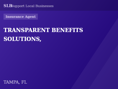 TRANSPARENT BENEFITS SOLUTIONS, — Insurance Agent in TAMPA, FL