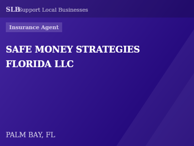 SAFE MONEY STRATEGIES FLORIDA LLC — Insurance Agent in PALM BAY, FL