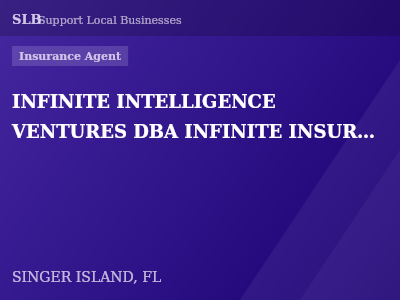 INFINITE INTELLIGENCE VENTURES DBA INFINITE INSURANCE — Insurance Agent in SINGER ISLAND, FL