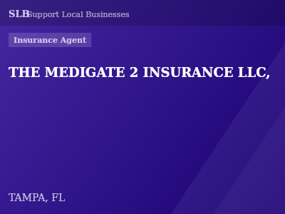 THE MEDIGATE 2 INSURANCE LLC, — Insurance Agent in TAMPA, FL