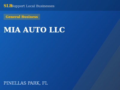 MIA AUTO LLC — General Business in PINELLAS PARK, FL