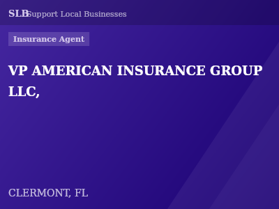 VP AMERICAN INSURANCE GROUP LLC, — Insurance Agent in CLERMONT, FL