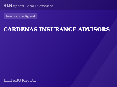 CARDENAS INSURANCE ADVISORS — Insurance Agent in LEESBURG, FL