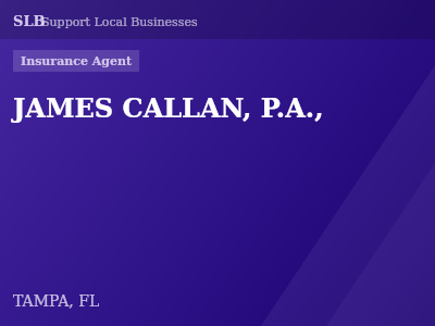 JAMES CALLAN, P.A., — Insurance Agent in TAMPA, FL
