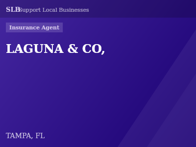 LAGUNA & CO, — Insurance Agent in TAMPA, FL