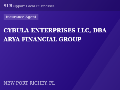 CYBULA ENTERPRISES LLC, DBA ARYA FINANCIAL GROUP — Insurance Agent in NEW PORT RICHEY, FL