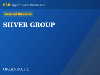 SILVER GROUP — General Business in ORLANDO, FL