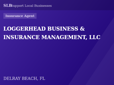 LOGGERHEAD BUSINESS & INSURANCE MANAGEMENT, LLC — Insurance Agent in DELRAY BEACH, FL