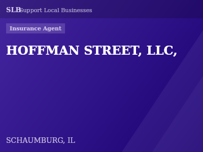 HOFFMAN STREET, LLC, — Insurance Agent in SCHAUMBURG, IL