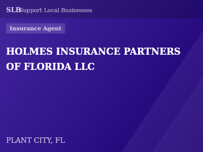 HOLMES INSURANCE PARTNERS OF FLORIDA LLC — Insurance Agent in PLANT CITY, FL